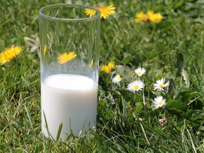 Carbon Group Dairy Detergent Products 2018/2019