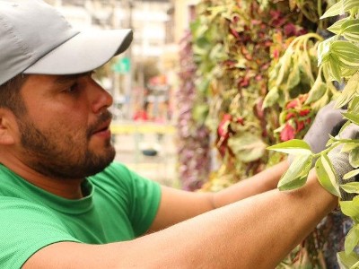 AkzoNobel / Liveable Cities Initiative